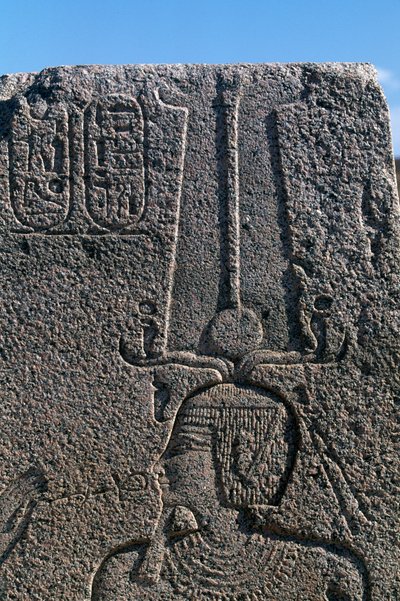 Lohko, jossa on reliefit ja Ramses II:n kirjoitukset, Amunin suuri temppeli, Tanis, Egypti, Egyptin sivilisaatio, Uusi valtakunta, XIX dynastia. tekijältä Egyptian 19th Dynasty