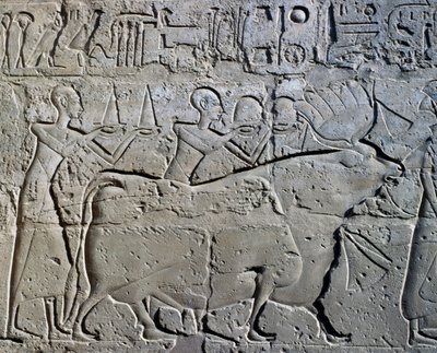 Kaivosalueita symboloivia hahmoja tuomassa veronsa jumalalle, reliefi, Ramesses II:n sisäpiha, Amunin temppeli (Unescon maailmanperintöluettelo). tekijältä Egyptian 19th Dynasty