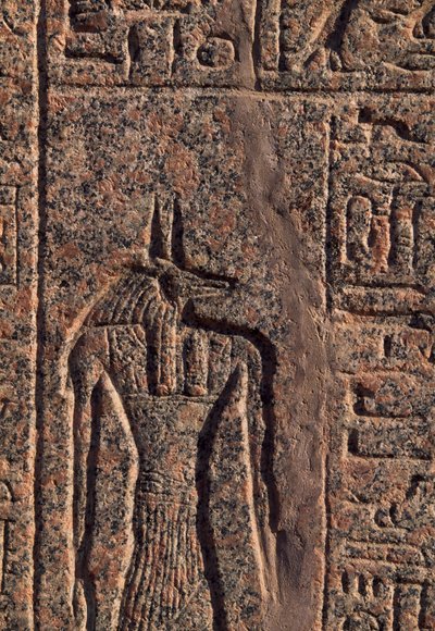 Kuvaus Anubiksesta, yksityiskohta Anubiksen ja toisen jumalan kaiverruksesta ja reliefistä, Amenhotepin sarkofagi, Memphis (Unescon maailmanperintöluettelo) tekijältä Egyptian 19th Dynasty