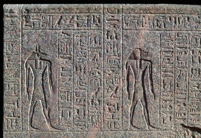 Anubiksen kuva, yksityiskohta kirjoituksesta ja reliefi Anubiksesta ja toisesta jumalasta, Amenhotepin sarkofagi, Memphis, Egypti, Uusi valtakunta, XIX dynastia. tekijältä Egyptian 19th Dynasty