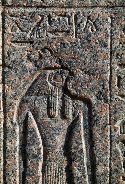 Horuksen kuva, Horuksen ja Thotin kirjoitus ja reliefi, Amenhotepin sarkofagi, Memphis, Egypti, Uusi valtakunta, XIX dynastia. tekijältä Egyptian 19th Dynasty