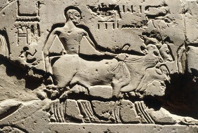 Egypti Muinaisegypti, Luxor, Luxorin temppeli, Ramses II:n piha, reliefi, Uusi valtakunta, XIX dynastia (1290-1224 eKr.) tekijältä Egyptian 19th Dynasty