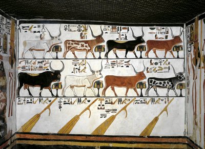 Egypti, Thebes, Luxor, Kuningattaren laakso, Nefertarin hauta, eteisammion lisärakennus, seinämaalauksia, kuvitettu kuolleiden kirja, luku 89 tekijältä Egyptian 19th Dynasty