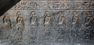 Egyptiläinen antiikki: yksityiskohta reliefistä, joka koristaa faarao Ramses II:n (1292-1186 eaa.) valloittamien alueiden tunnuksia. Luxorin temppeli. Itäranta (Theban), Egypti tekijältä Egyptian 19th Dynasty