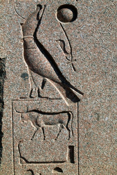 Hieroglyfi, jossa Horuksen nimi, Amunin suuri temppeli, Tanis, Egypti, Uusi valtakunta, XIX dynastia tekijältä Egyptian 19th Dynasty