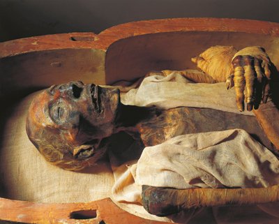 Ramses II:n muumio (noin 1297-1213 eaa.), yksityiskohta. tekijältä Egyptian 19th Dynasty