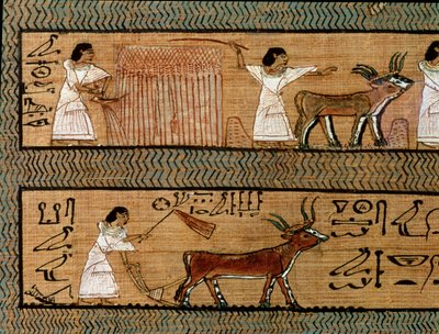 Niitto ja kyntäminen, yksityiskohta kuvauksesta maanviljelyksen toiminnasta tuonpuoleisessa maailmassa, kirjailijan kuolleiden kirjasta, noin 1250 eaa. tekijältä Egyptian 19th Dynasty