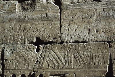Reliefi, Amunin temppeli, Luxor, muinainen Thebe (Unescon maailmanperintöluettelo). tekijältä Egyptian 19th Dynasty