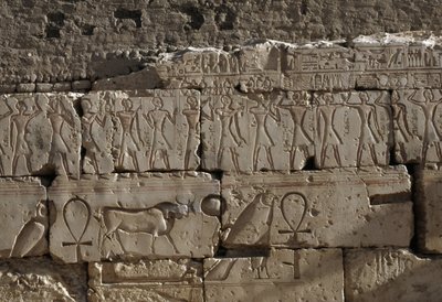 Relief, Ramses II:n temppeli, Abydos, Egypti, Egyptin sivilisaatio, Uusi kuningaskunta, XIX-dynastia (kuva) tekijältä Egyptian 19th Dynasty