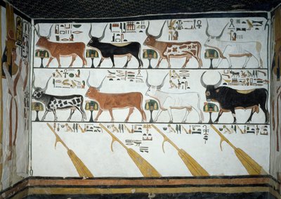 Seitsemän taivaallista lehmää, aviomies ja neljä ohjausairoa, Book of Deadin luku 148, yksityiskohta freskoista Nefertarin haudan toisessa kammiossa Queensin laaksossa Luxorissa Thebesissa. Egyptin sivilisaatio, Uusi kuningaskunta, dynastia XIX. tekijältä Egyptian 19th Dynasty