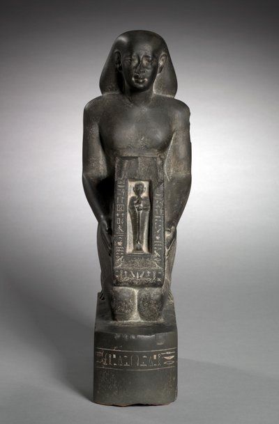 Naoforinen talousvirkailijan ja kenttien valvojan patsas, Horwedja, 521-486 eaa. tekijältä Egyptian 27th Dynasty
