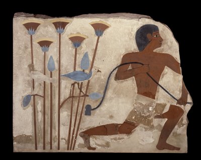 Bird Snaring, helpotus Nefermaatin haudasta, Vanha kuningaskunta, n. 2620 eKr. (maalattu stukkoreliefi) tekijältä Egyptian 4th Dynasty