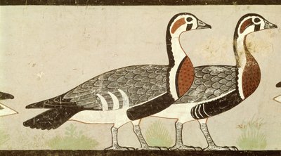 Meidum hanhet, Nefermaatin ja Atetin haudasta, vanhasta kuningaskunnasta, n. 2620 eKr. (maalattu stukko) tekijältä Egyptian 4th Dynasty
