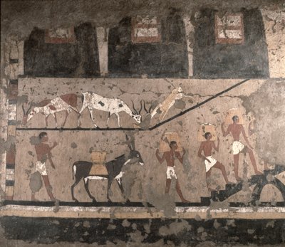 Maatalousnäkymä, seinämaalaus poistettu Ti Mastabasta Sakkarassa, vanhassa kuningaskunnassa, n. 2494-2345 eKr. (maalattu kalkkikivi) tekijältä Egyptian 5th Dynasty