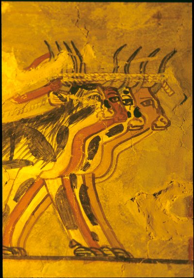Muinainen Egypti, seinämaalaus, Sennuferin hauta, Aatelisten hauta, Thebe, Thebes tekijältä Egyptian Egyptian