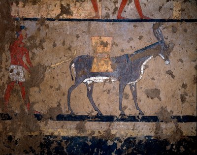 Egyptiläinen antiikki: "" viljan kuljetus muulin selässä"" Temperamaalaus kuningas Itin (tai Ityn) kanslerin haudan seinästä 2200-2000 eKr. El Ghebelenistä, Luxorista. Torino, egyptiläinen museo tekijältä Egyptian Egyptian