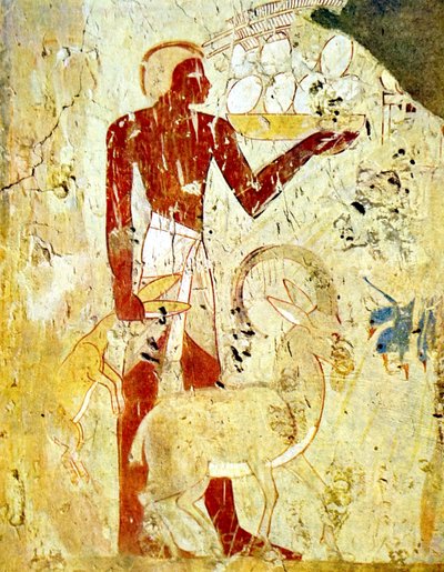 Egyptiläinen hautamaalaus, jossa kuvataan eläinuhreja. tekijältä Egyptian Egyptian