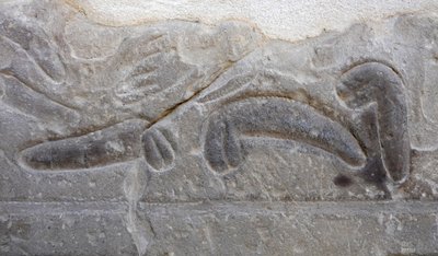 Vihollisen leikkaamia miesten sukupuolielimiä, Horuksen temppeli, Edfu. tekijältä Egyptian Egyptian