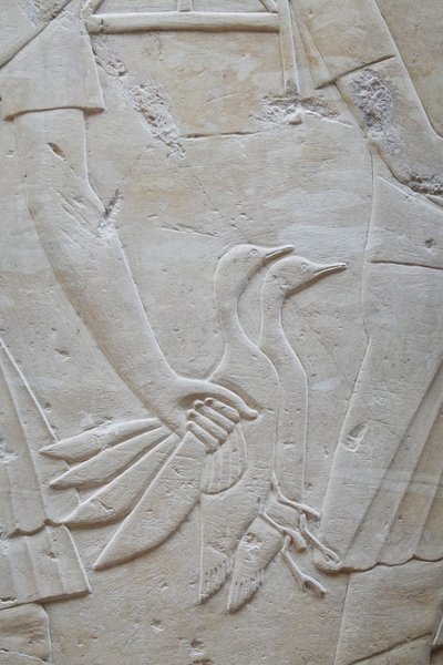 Käsi, joka pitää 2 hanhea siivistä, Ramosen hauta. tekijältä Egyptian Egyptian