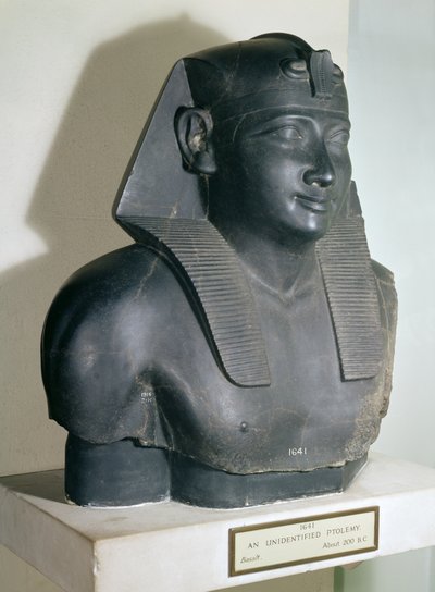 Fragmentti egyptiläistyylisestä Ptolemaios I:n patsaasta, 305-283 eKr. (basaltti) tekijältä Egyptian Ptolemaic Period