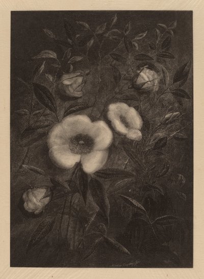 Wild Rosesfinnish tekijältä Elbridge Kingsley