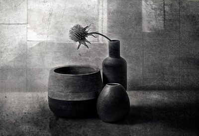 Moody Thistle -alukset tekijältä Elena Arjona