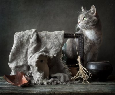 Vintage-tyylinen kissan asetelma tekijältä Eleonora Grigorjeva