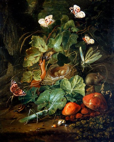 Metsäkerroksen asetelma hedelmillä ja perhosilla (öljy paneelissa) tekijältä Elias van den Broeck