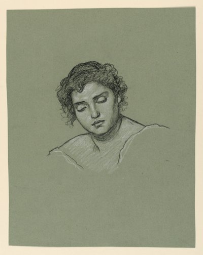 Piirros, naisen pää, n. 1885 tekijältä Elihu Vedder