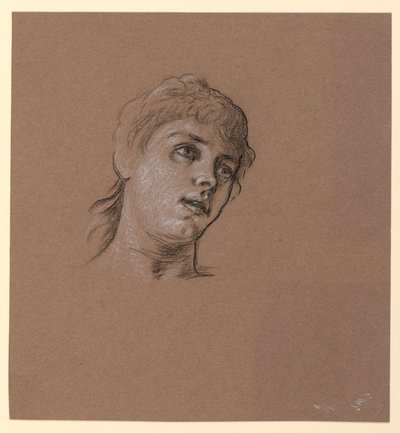 Piirustus, Nuoren tytön muotokuvan luonnos, n. 1885 tekijältä Elihu Vedder