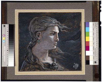 Meduusan pää, 1878 tekijältä Elihu Vedder