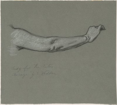 Tutkimus "The Fates Gathering in the Stars" tekijältä Elihu Vedder