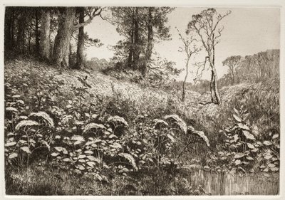 Kesäiltapäivä, 1882. tekijältä Elis F. Miller