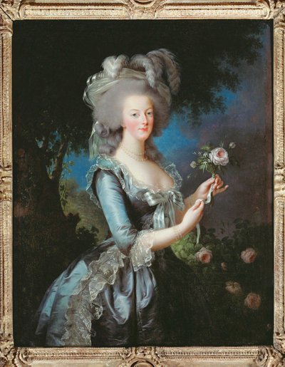 Kuningatar Marie-Antoinetten muotokuva, jota kutsutaan myös nimellä Marie Antoinette ruusun kanssa tekijältä Elisabeth Louise Vigee-Lebrun