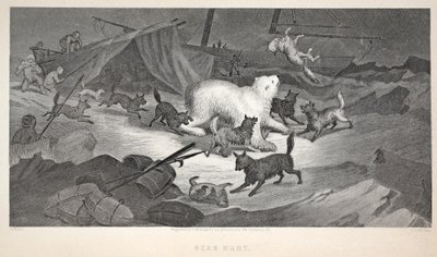 Bear Hunt, kuvitus teoksesta "Toinen Grinnell-retkikunta Sir John Franklinia etsimässä...", 1856 tekijältä Elisha Kane