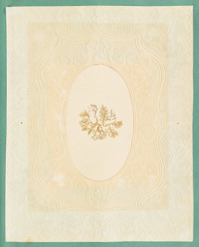 Merilevät tekijältä Eliza A. Jordson