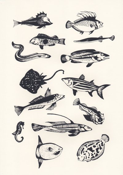 Monotone Plain Fish, 2015 (silkkipainatus) tekijältä Eliza Southwood