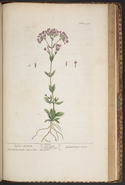 Levy 452, "A Curious Herbal" tekijältä Elizabeth Blackwell