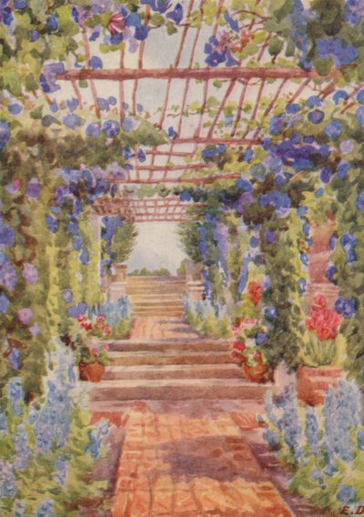 Sinisen Ipomoea Learii de Grendelin peittämä pergola, Tygerberg (värilitra) tekijältä Elizabeth Drake