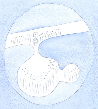 Kaikki hyvät hedelmät saavat hyvyyden "viinipuusta", joka on Kristus. Suurin ravinto tulee hänen läheisyydestään., 2001 (w/c paperilla) tekijältä Elizabeth Wang