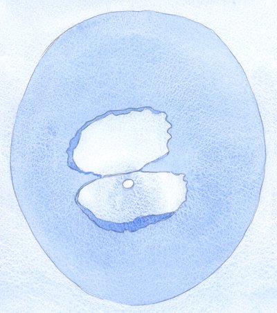 Teoillamme ja sanoillamme voimme saada muut sydämet avautumaan vastaanottamaan ilmaisia lahjoja tai "jalokiviä", jotka Jumala voi sijoittaa sisään, 2002 (paperilla) tekijältä Elizabeth Wang