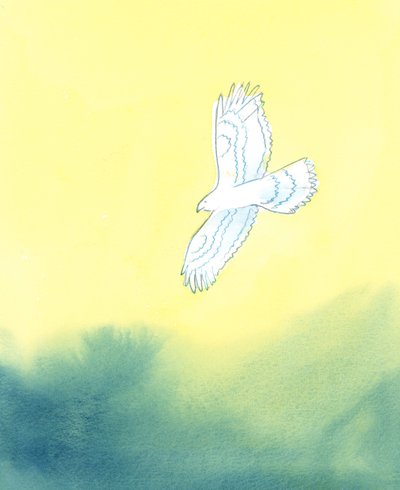 Oikeudenmukaisuudessaan Jumala on kuin valtava petolintu, joka näkee kaukaa pienimmän olennon maan päällä ja kaikki sen liikkeet, 2003 (paperilla) tekijältä Elizabeth Wang