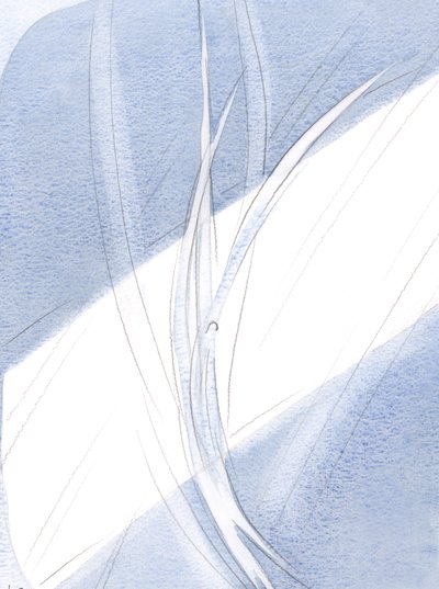 Iltavalossa jokainen olento, leijuen oikealla paikallaan ja ihmeellisin liikkein, kaikui Taivaan enkelien komeaa tanssia, 2000 (paperilla) tekijältä Elizabeth Wang