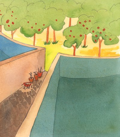 Hengellisessä elämässä voi tuntua siltä, että kuljemme kapeaa polkua korkeiden muurien välissä, eikä meillä ole juurikaan toivoa löytää iloa, 2005 (akvarelli paperille). tekijältä Elizabeth Wang