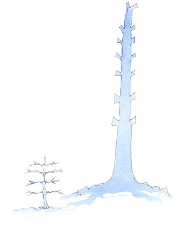 Kirkko on kasvanut, kuten jättimäinen tammi kasvaa taimesta, 2003 (paperilla) tekijältä Elizabeth Wang