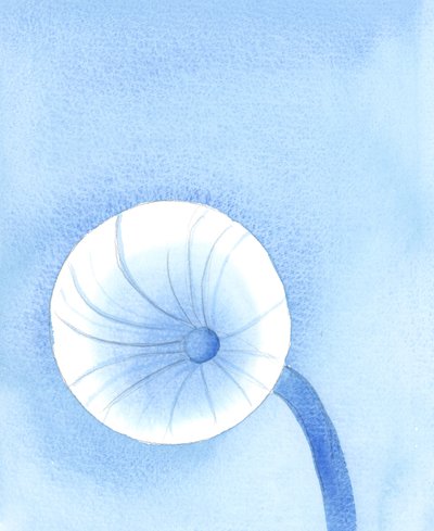 Ruoka, jonka Jumala antaa meille saataville, tulisi nähdä polttoaineena matkallamme maan päällä, 2005 (akvarelli paperille). tekijältä Elizabeth Wang