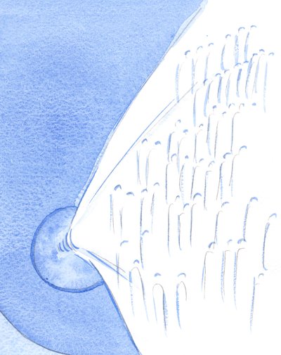 Taivaassa juhlitaan aina, kun Kristuksen kirkko maan päällä juhlii erityistä tilaisuutta, vaikka pyhiä ei "pidetä" ajoissa, 2002 (paperilla) tekijältä Elizabeth Wang