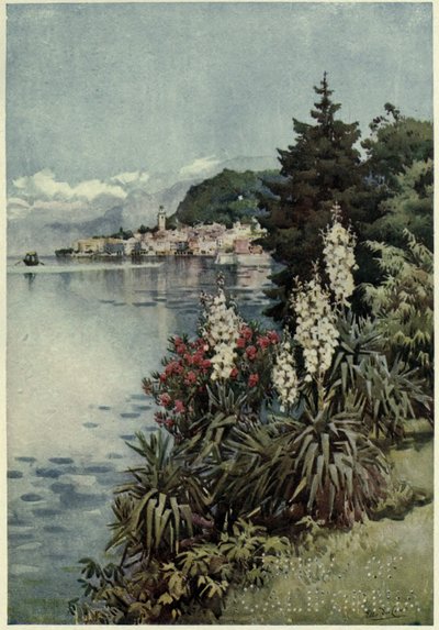 Ryhmä Yuccoja, Villa Melzi, Lago di Como, Kuvitus Richard Bagotin teoksesta "Italian järvet" tekijältä Ella Du Cane