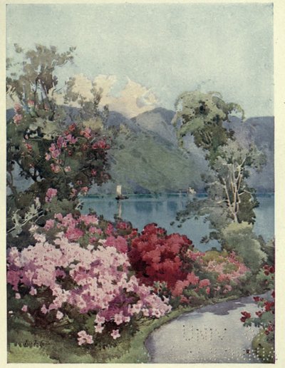 Azaleas, Lago di Como, kuvitus Richard Bagotin teoksesta "Italian järvet". tekijältä Ella Du Cane