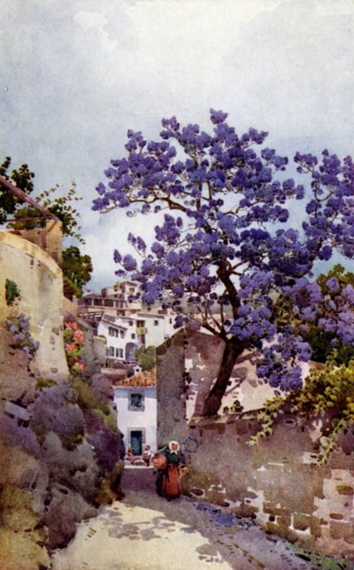 Jacaranda Tree (väri litho) tekijältä Ella Du Cane